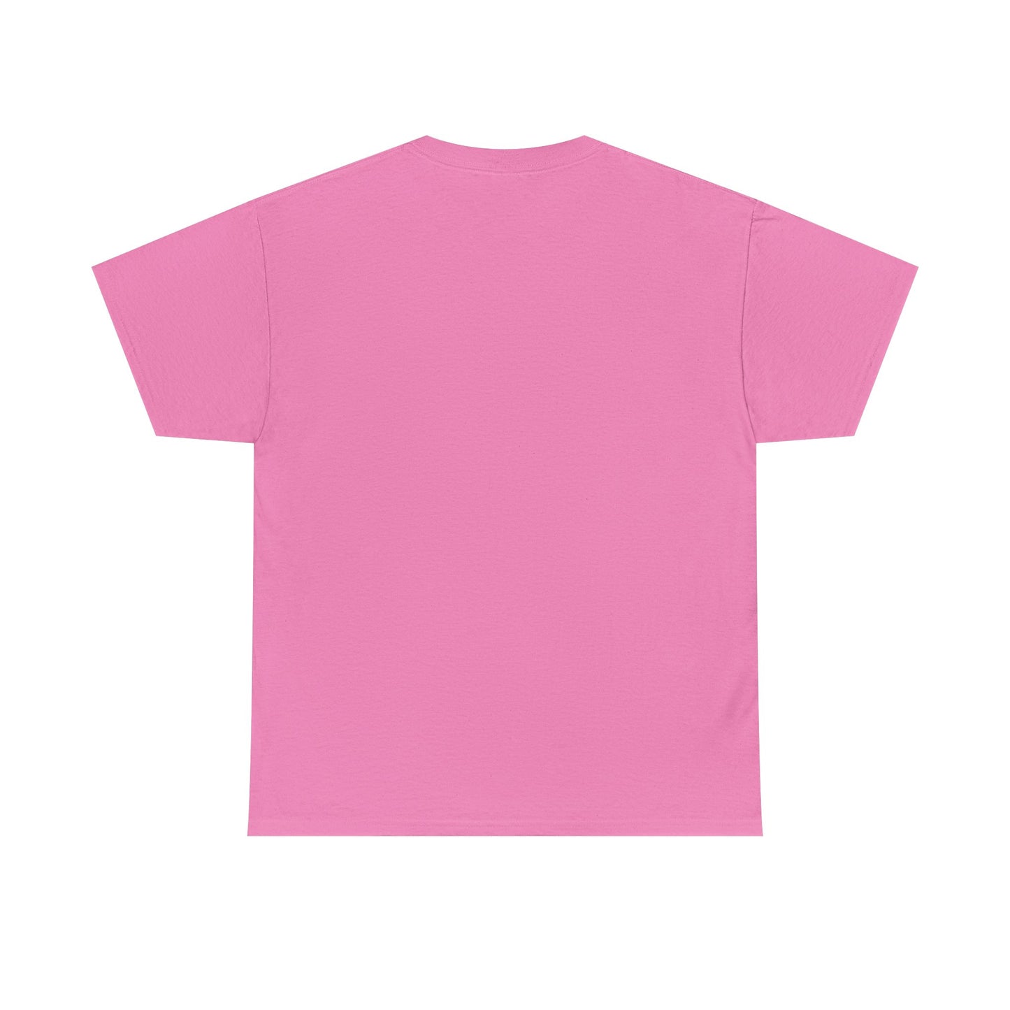 Alpha Kappa Alpha Inspired Shirt | Make Our Money Count Again | Economic Justice | Financial Empowerment Sorority | Political Statement