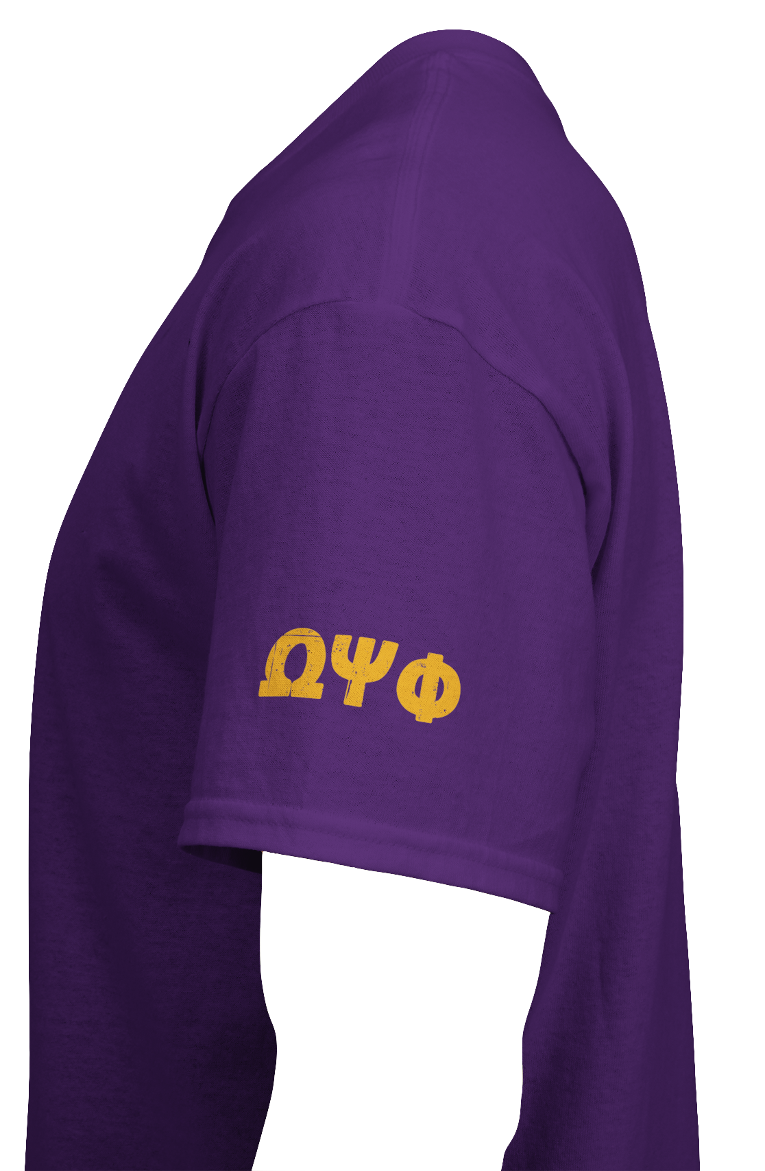 Omega Psi Phi Inspired Shirt | Make Our Money Count Again | Economic Justice | Financial Empowerment Fraternity | Political Statement